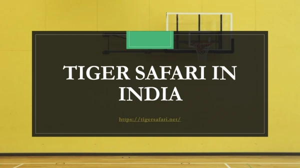 Tiger Safari in India