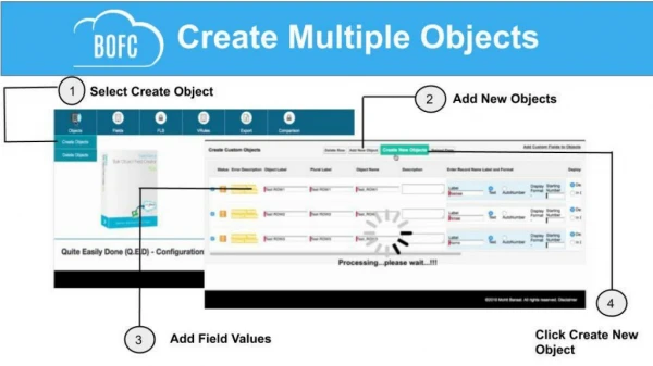 Create Multiple Objects in Salesforce