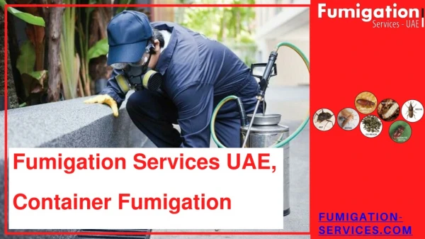 Fumigation Services UAE, Container Fumigation