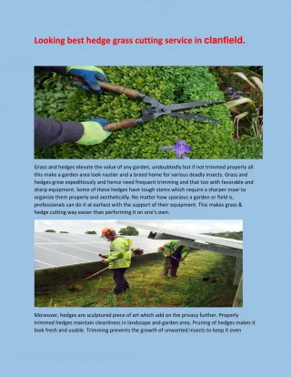 Grass & Hedge cutting. - slide 1
