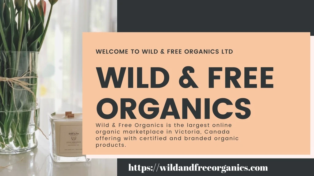welcome to wild free organics ltd wild free