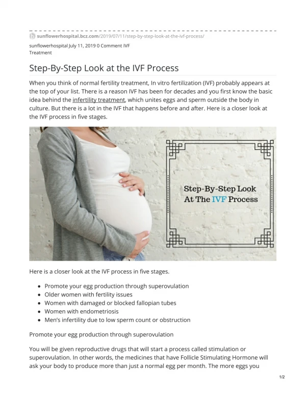 Step-By-Step Look at the IVF Process