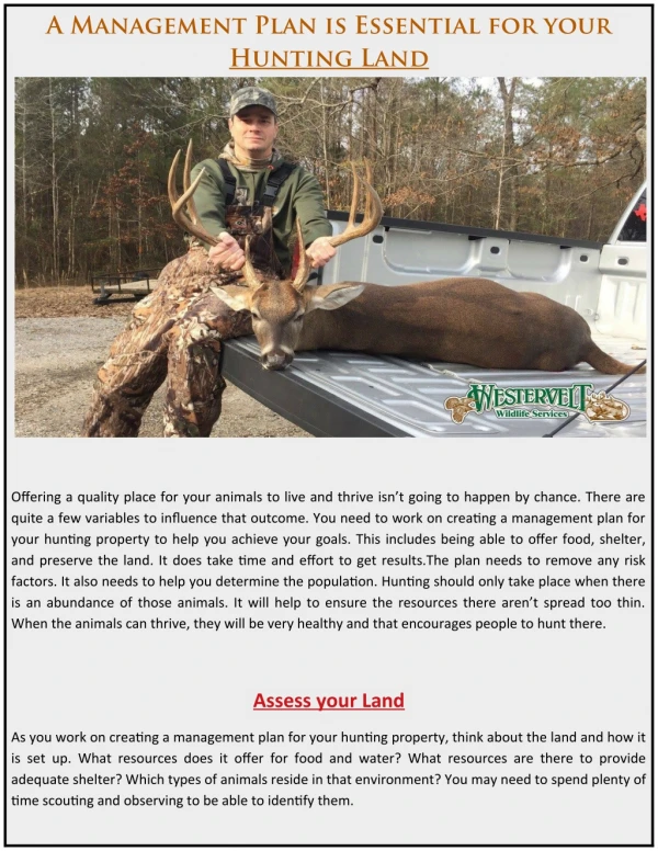 A management plan is essential for your hunting land