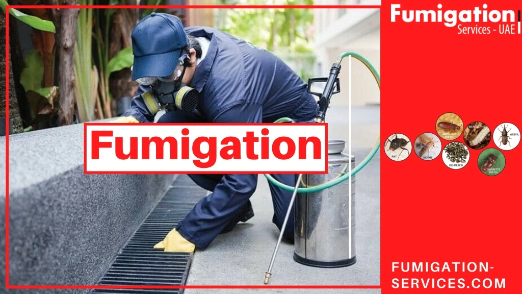 fumigation