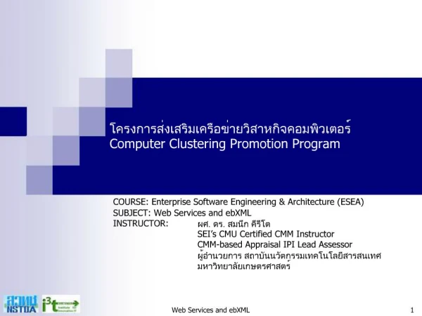Computer Clustering Promotion Program