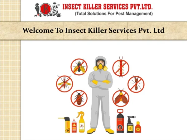 Get Rid Of All Kinds Of Pest - Insect Killer Services Pvt Ltd