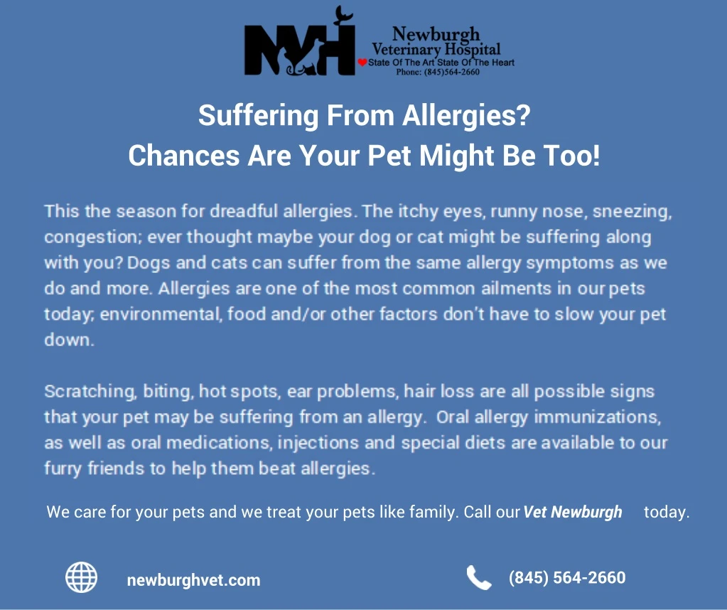 suffering from allergies chances are your
