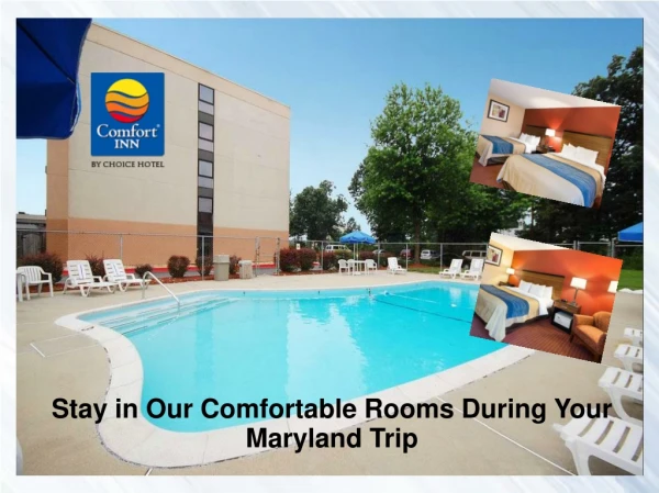 Stay in Our Comfortable Rooms During Your Maryland Trip