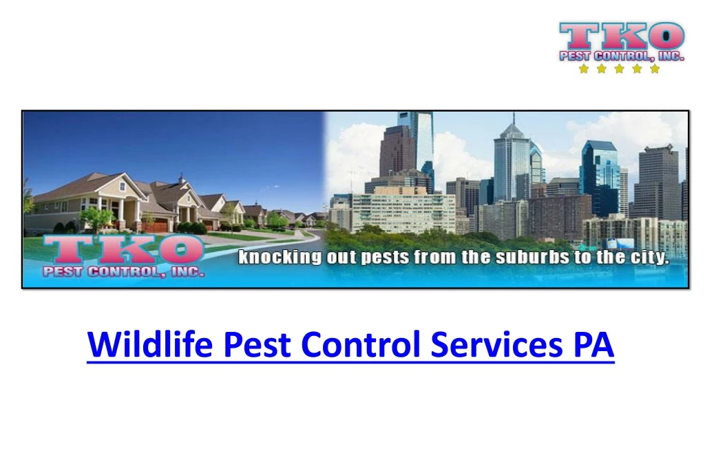 wildlife pest control services pa
