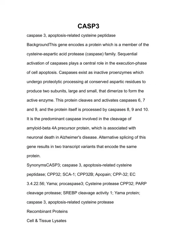 caspase 3, apoptosis-related cysteine peptidase