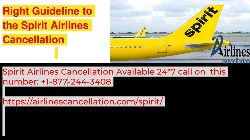 right guideline to the spirit airlines cancellation
