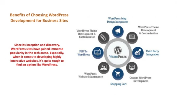 Benefits of Choosing WordPress Development for Business Sites