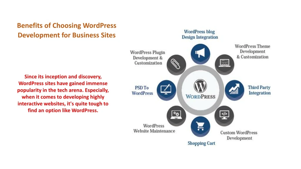 benefits of choosing wordpress development