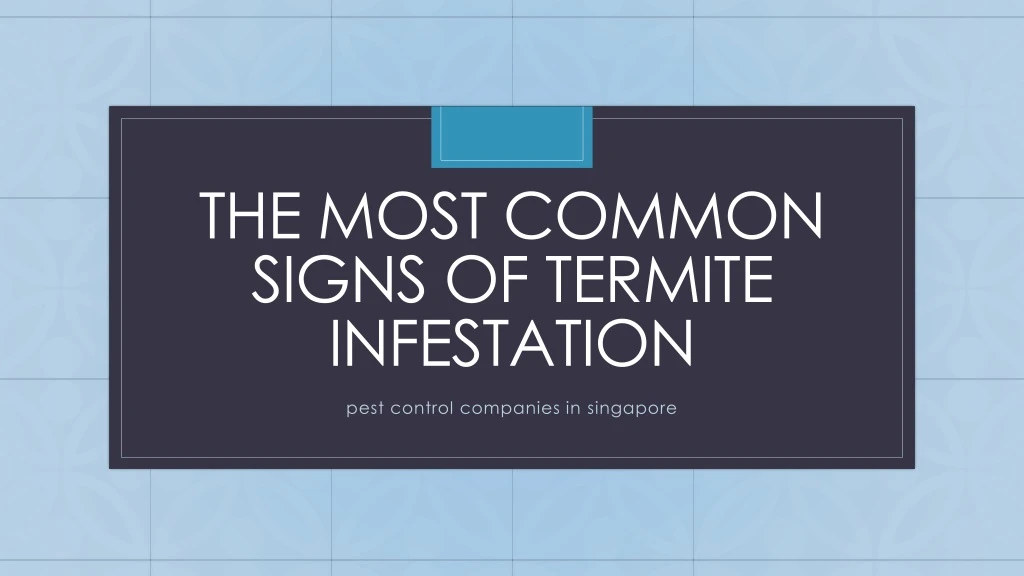 the most common signs of termite infestation
