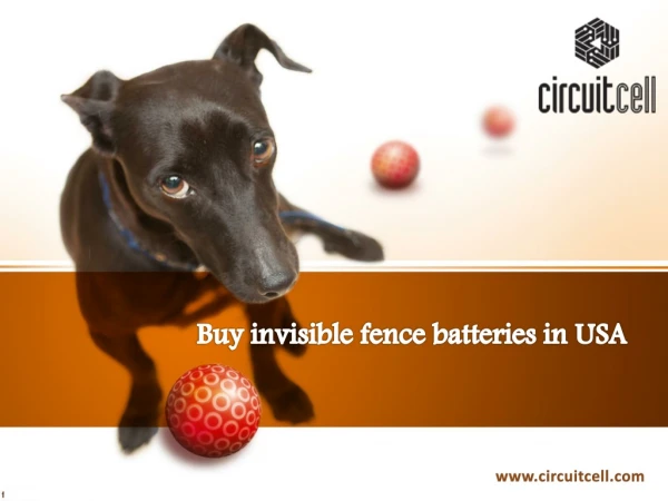 Buy invisible fence batteries in USA