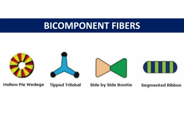 Bicomponent fibers