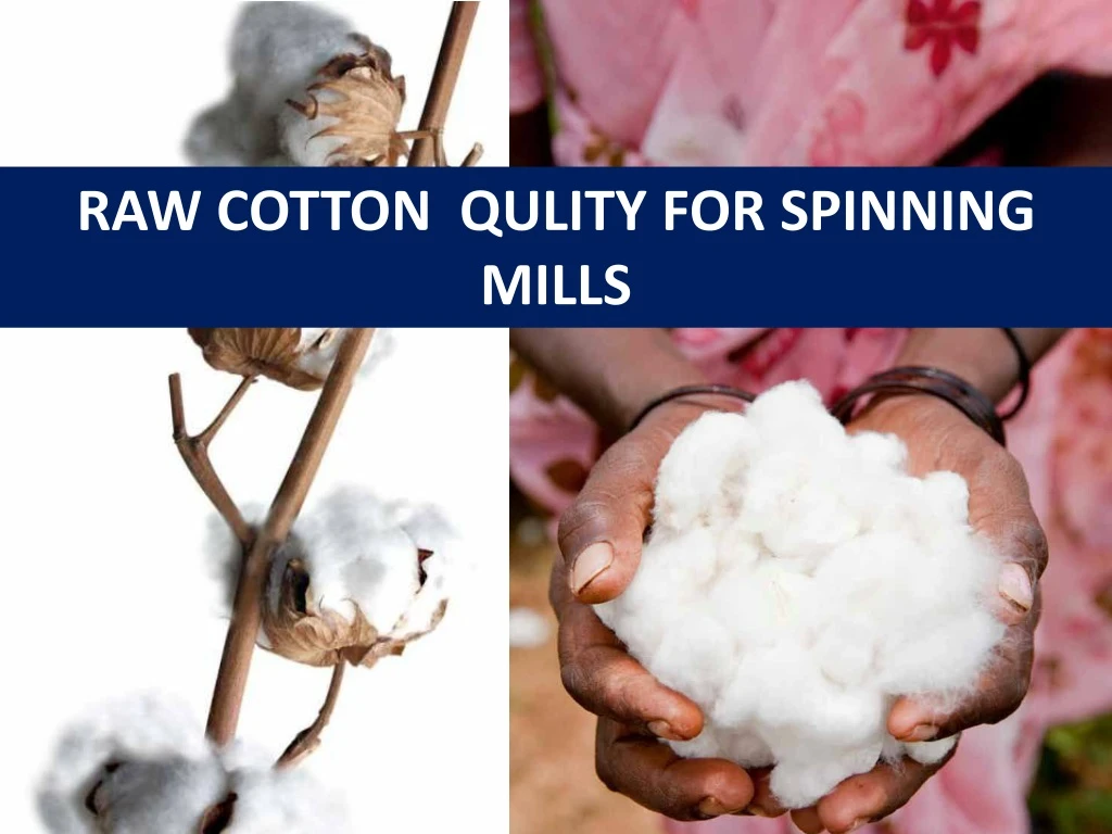 raw cotton qulity for spinning mills