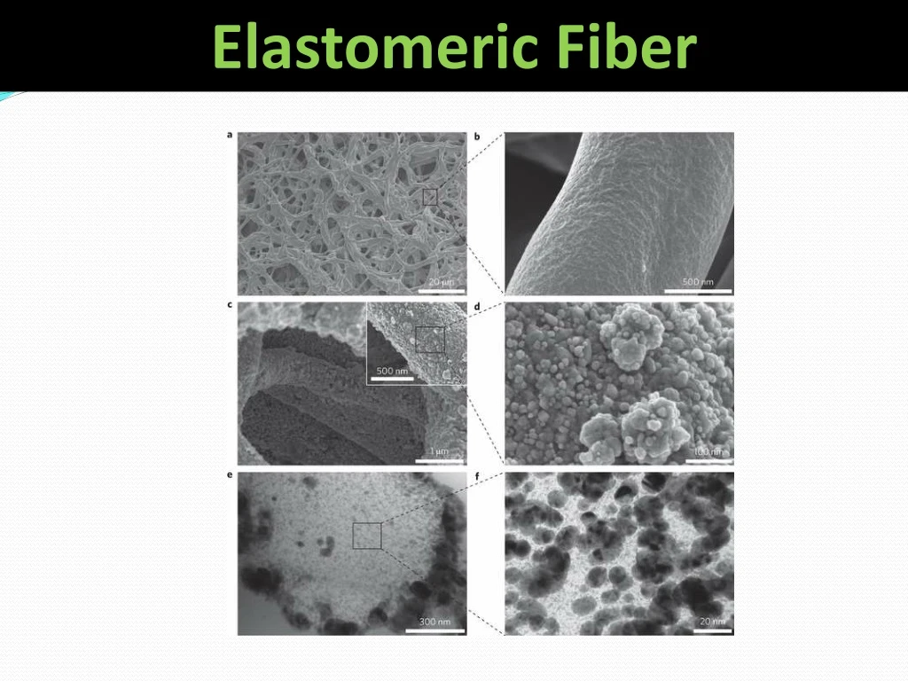 elastomeric fiber