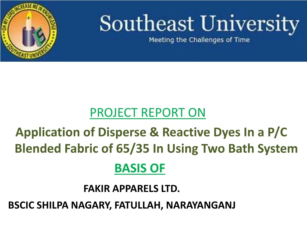 project report on