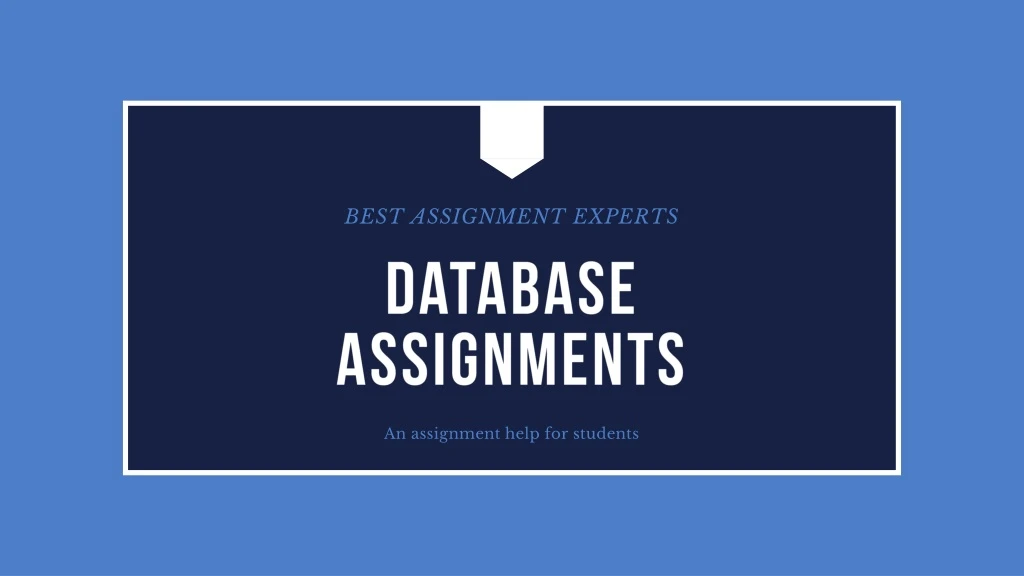 best assignment experts