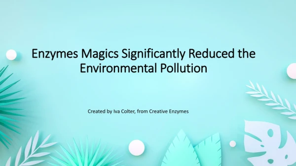 Enzymes Magics Significantly Reduced the Environmental Pollution