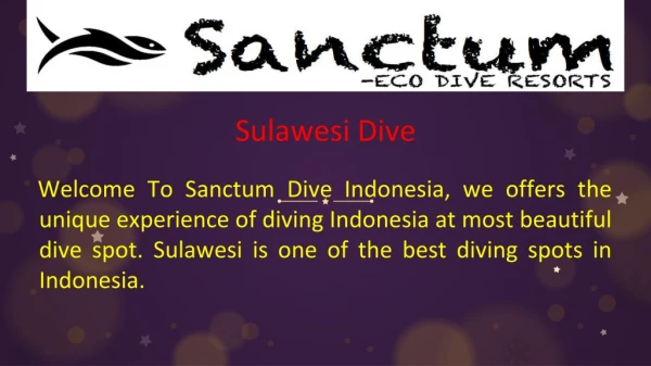 Sulawesi Dive