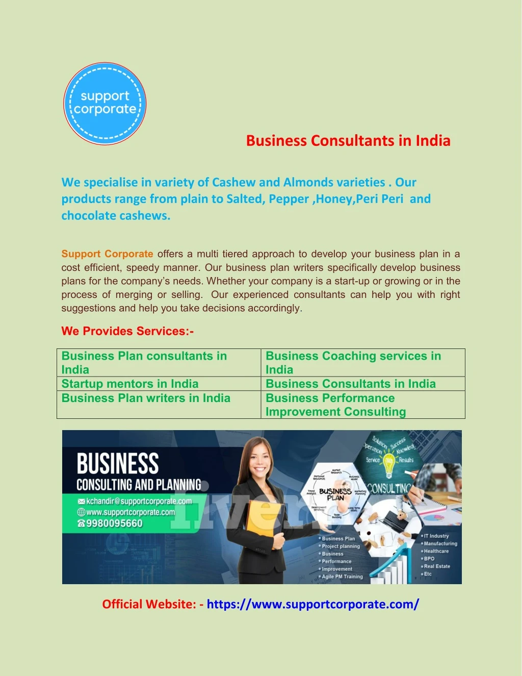 business consultants in india