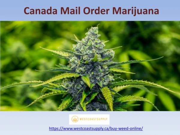 Canada Mail Order Marijuana