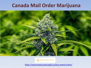Canada Mail Order Marijuana - slide 1