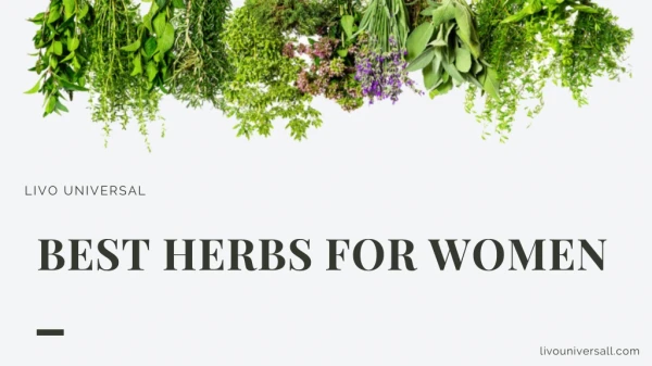 Best Herbs for Women- Ashwagandha, Shatavari & Rashberry Leaf