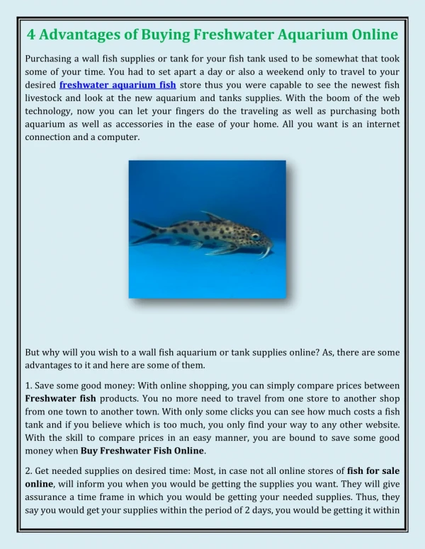 4 Advantages of Buying Freshwater Aquarium Online