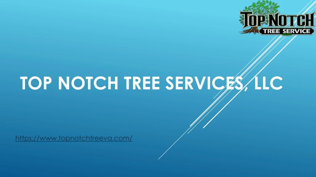 top notch tree services llc