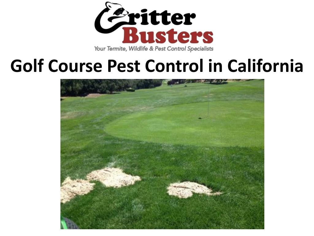 golf course pest control in california