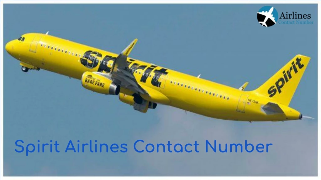 spirit airlines contact number