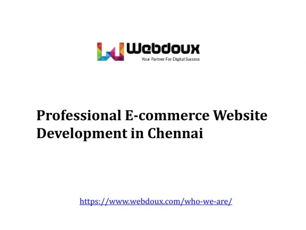 Professional ecommerce Website Development in Chennai