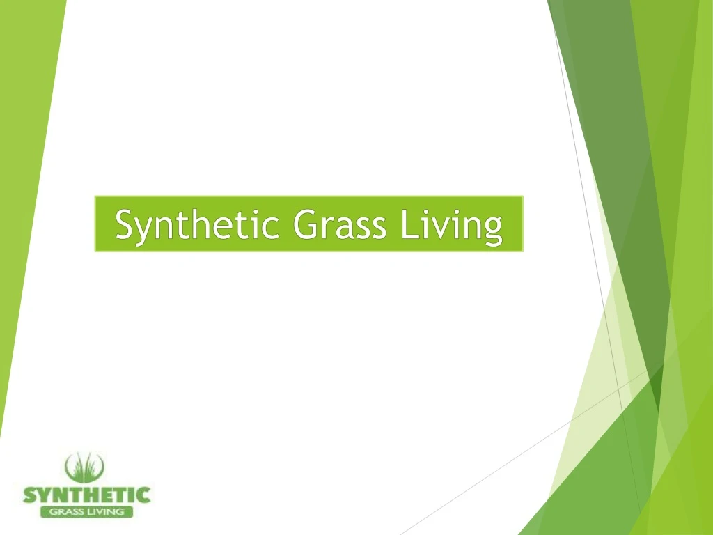 synthetic grass living