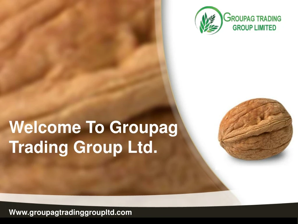 welcome to groupag trading group ltd