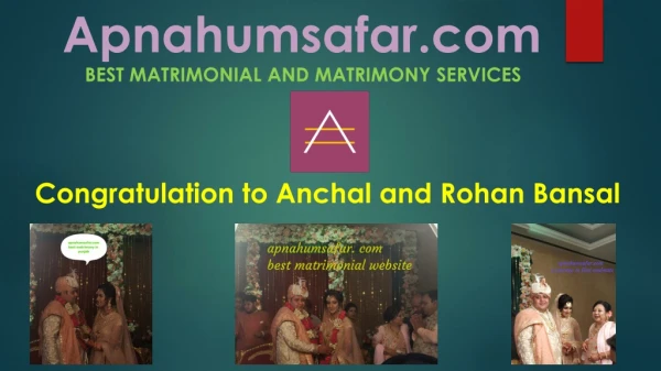 apnahumsafar com