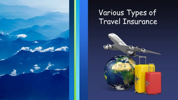 Various Types of Travel Insurance