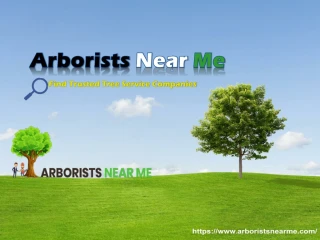 Arborists Near Me - slide 1