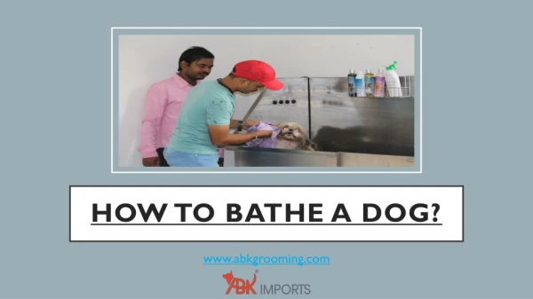 How To Bathe A Dog?