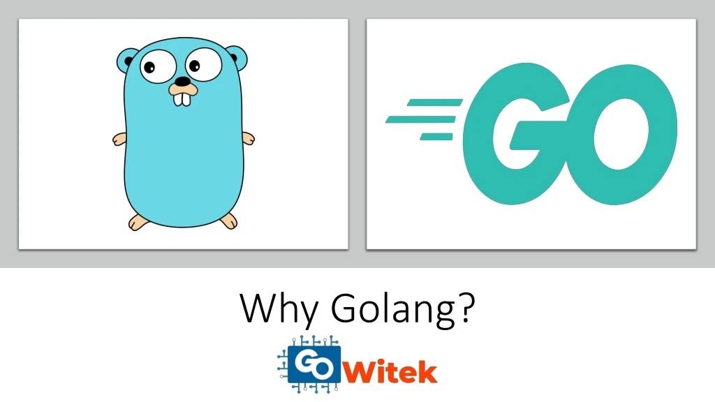 why golang