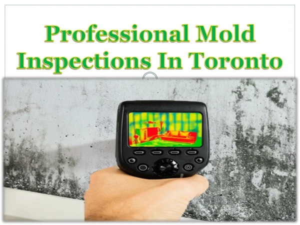 Professional Mold Inspections In Toronto