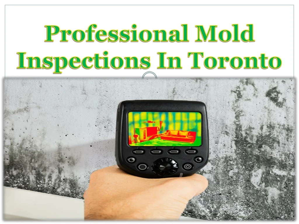 professional mold inspections in toronto