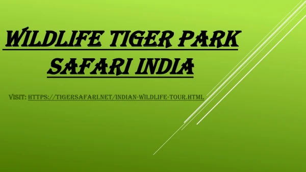 Wildlife Tiger Park Safari India