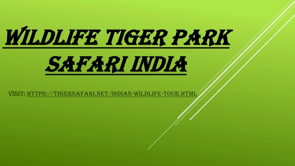 wildlife tiger park safari india