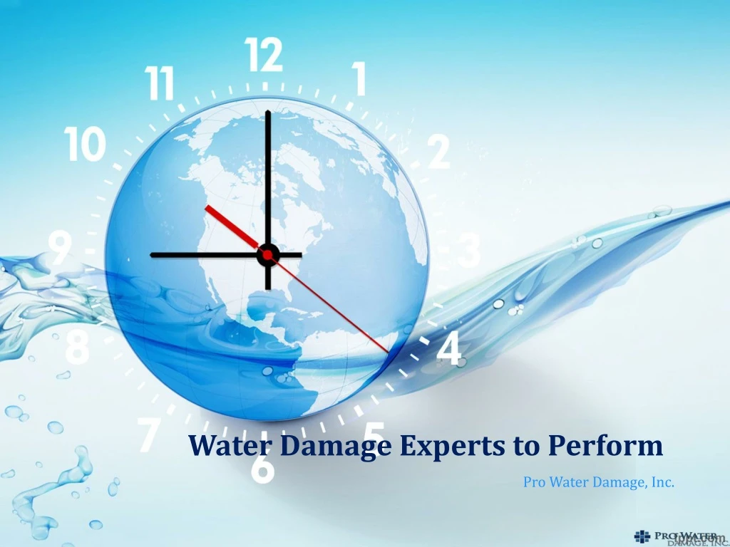 water damage experts to perform