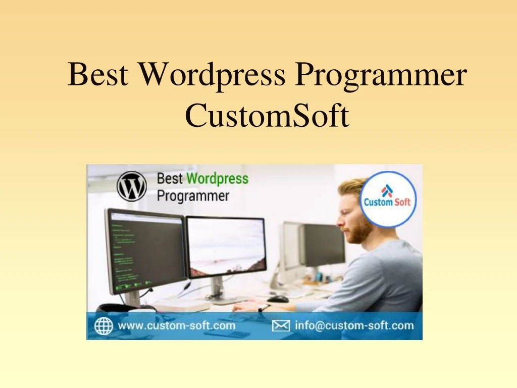 best wordpress programmer customsoft