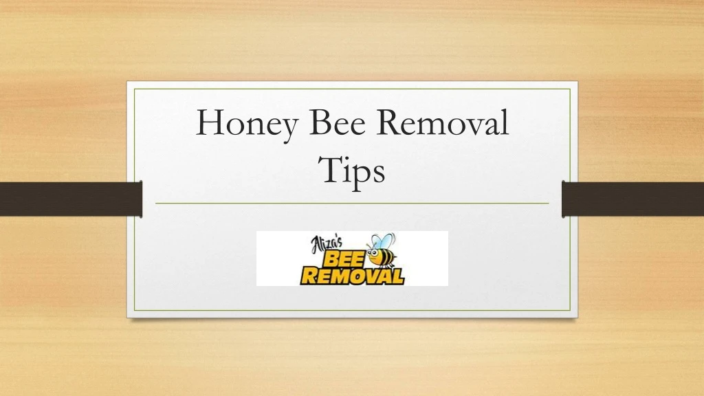 honey bee removal tips