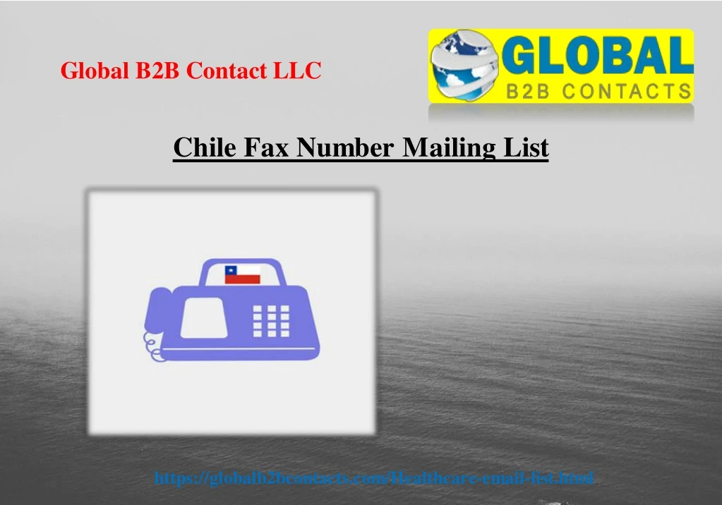 global b2b contact llc